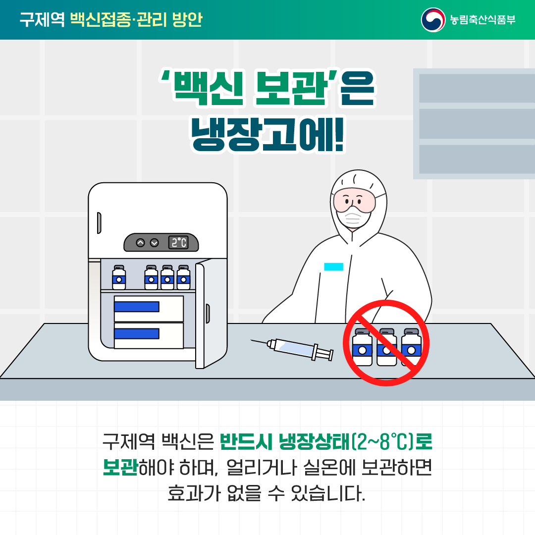 백신 보관은 냉장고에 구제역 백신은 반드시 냉장상태(2~8˚C)로 보관해야 하며, 얼리거나 실온에 보관하면 효과가 없을 수 있습니다.