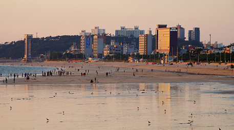 Daecheon Beach [photo]