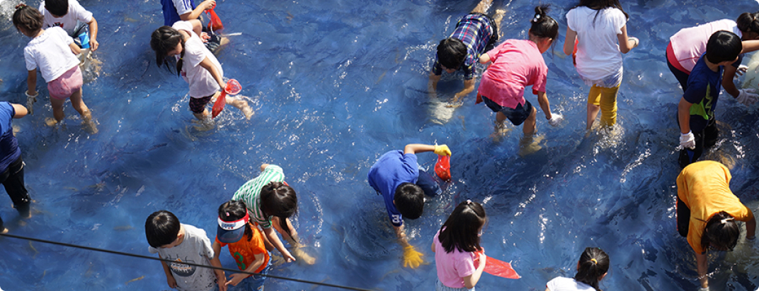 Daecheon Beach [festival]