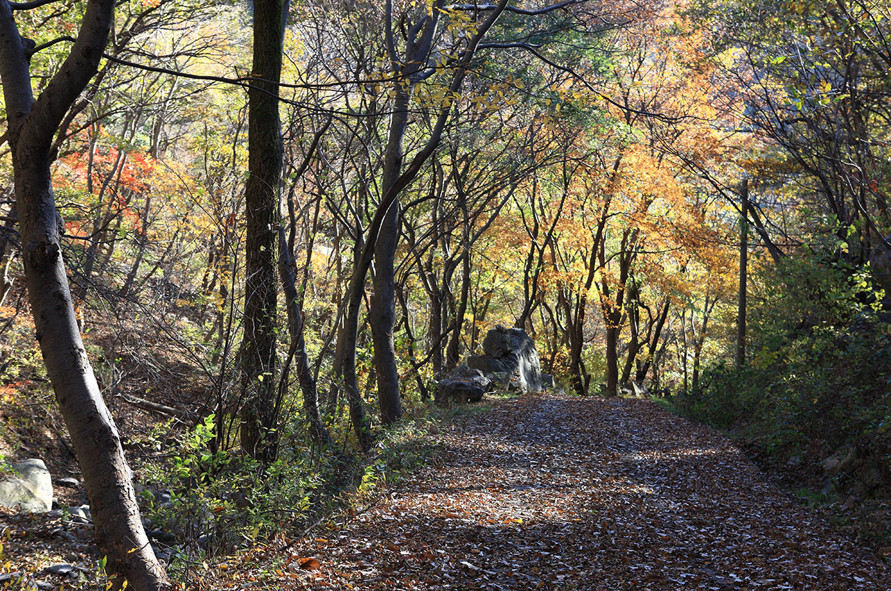 아미산 사진