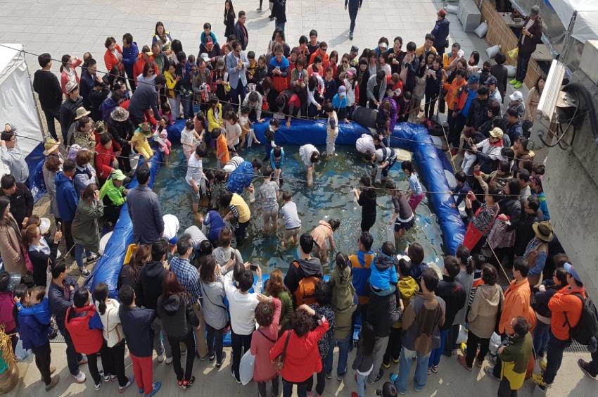 주꾸미·도다리 축제, 오는 18일부터 무창포해수욕장 일원에서 열려