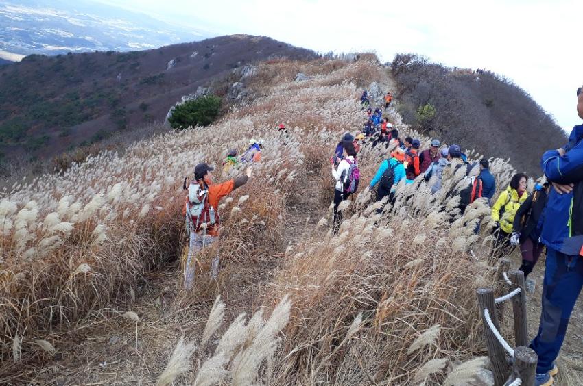 가을의 5색(色) 담긴 보령으로 떠나보자!